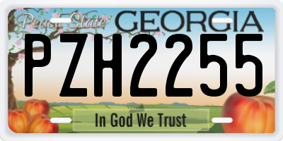 GA license plate PZH2255