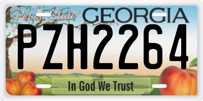 GA license plate PZH2264