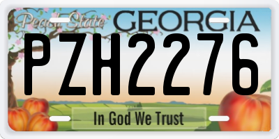 GA license plate PZH2276