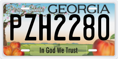 GA license plate PZH2280