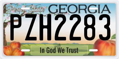 GA license plate PZH2283