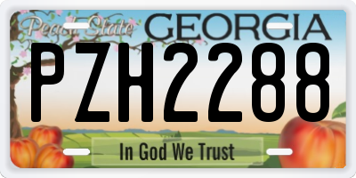 GA license plate PZH2288