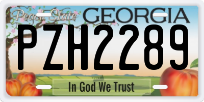 GA license plate PZH2289