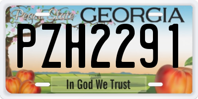 GA license plate PZH2291