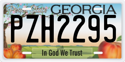GA license plate PZH2295