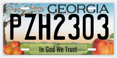 GA license plate PZH2303