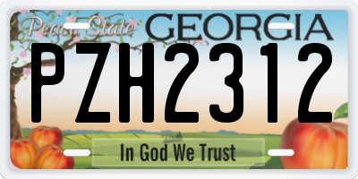 GA license plate PZH2312