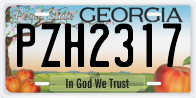GA license plate PZH2317