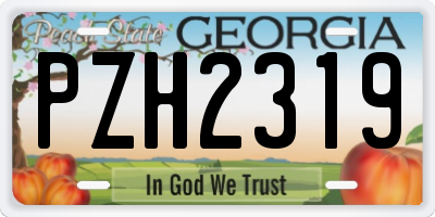 GA license plate PZH2319
