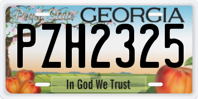 GA license plate PZH2325