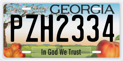 GA license plate PZH2334
