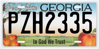 GA license plate PZH2335