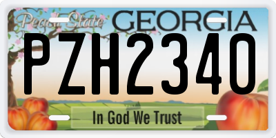 GA license plate PZH2340