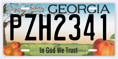 GA license plate PZH2341
