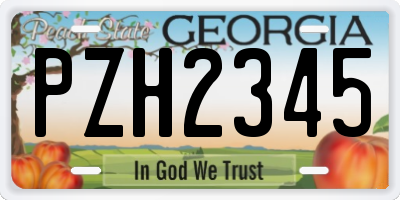 GA license plate PZH2345
