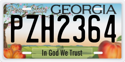 GA license plate PZH2364