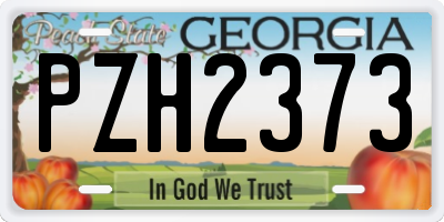 GA license plate PZH2373