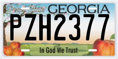 GA license plate PZH2377