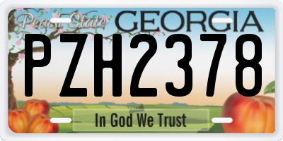 GA license plate PZH2378