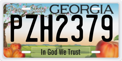 GA license plate PZH2379