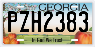GA license plate PZH2383