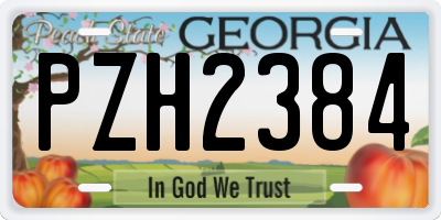 GA license plate PZH2384