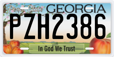 GA license plate PZH2386