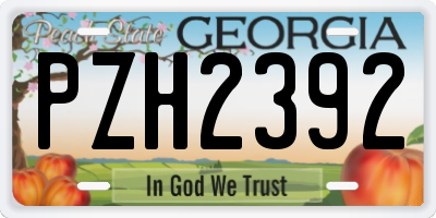 GA license plate PZH2392