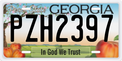 GA license plate PZH2397