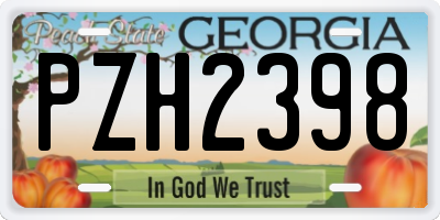 GA license plate PZH2398