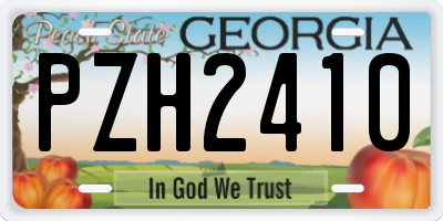 GA license plate PZH2410