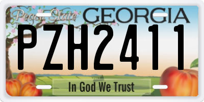 GA license plate PZH2411