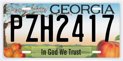 GA license plate PZH2417