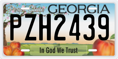GA license plate PZH2439