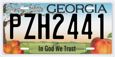 GA license plate PZH2441