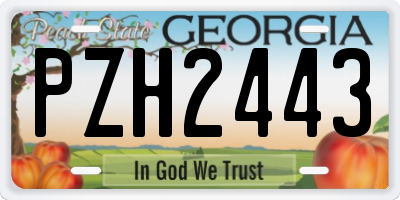 GA license plate PZH2443
