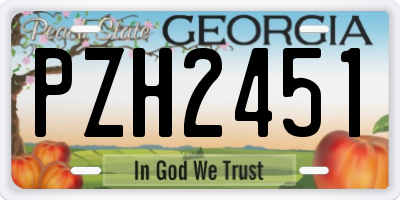 GA license plate PZH2451