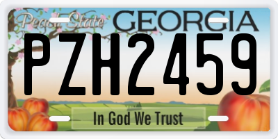 GA license plate PZH2459