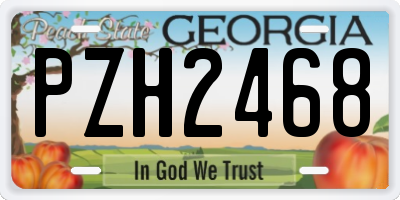 GA license plate PZH2468