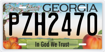 GA license plate PZH2470