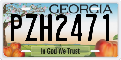 GA license plate PZH2471
