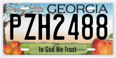 GA license plate PZH2488