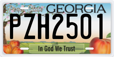GA license plate PZH2501