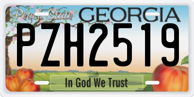 GA license plate PZH2519