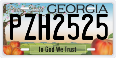 GA license plate PZH2525