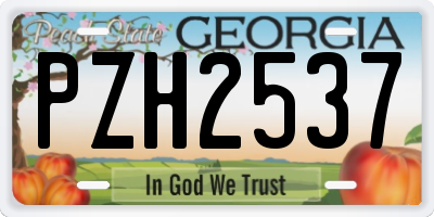 GA license plate PZH2537