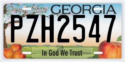 GA license plate PZH2547