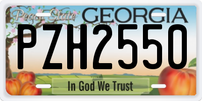 GA license plate PZH2550
