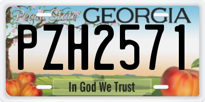 GA license plate PZH2571