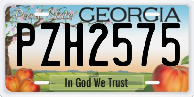 GA license plate PZH2575
